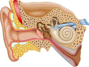 hearing loss